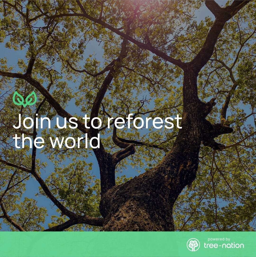 Tree Nation Join in To Reforest